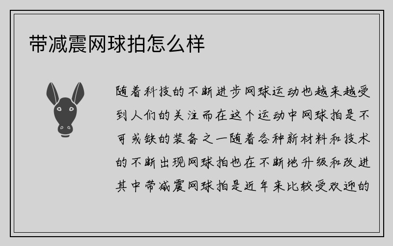 带减震网球拍怎么样