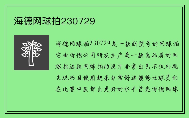 海德网球拍230729